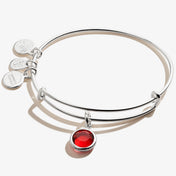 January Scarlet Birthstone Charm Bangle