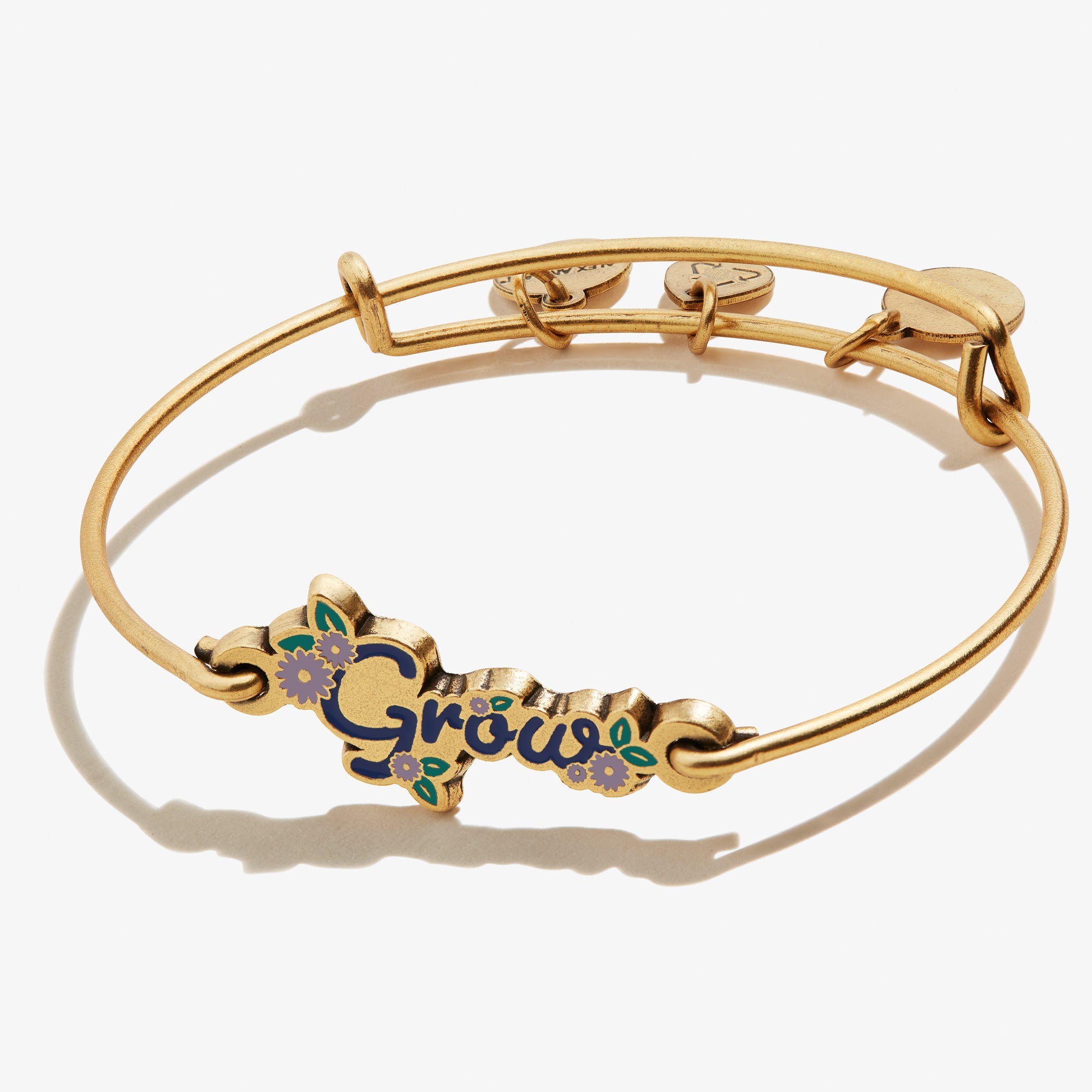 Grow-Inline-Charm-Bangle-Gold-Front-A21EBWAP10RG.jpg