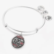 Harry Potter™ 'Hogwarts Express'™ Charm Bangle