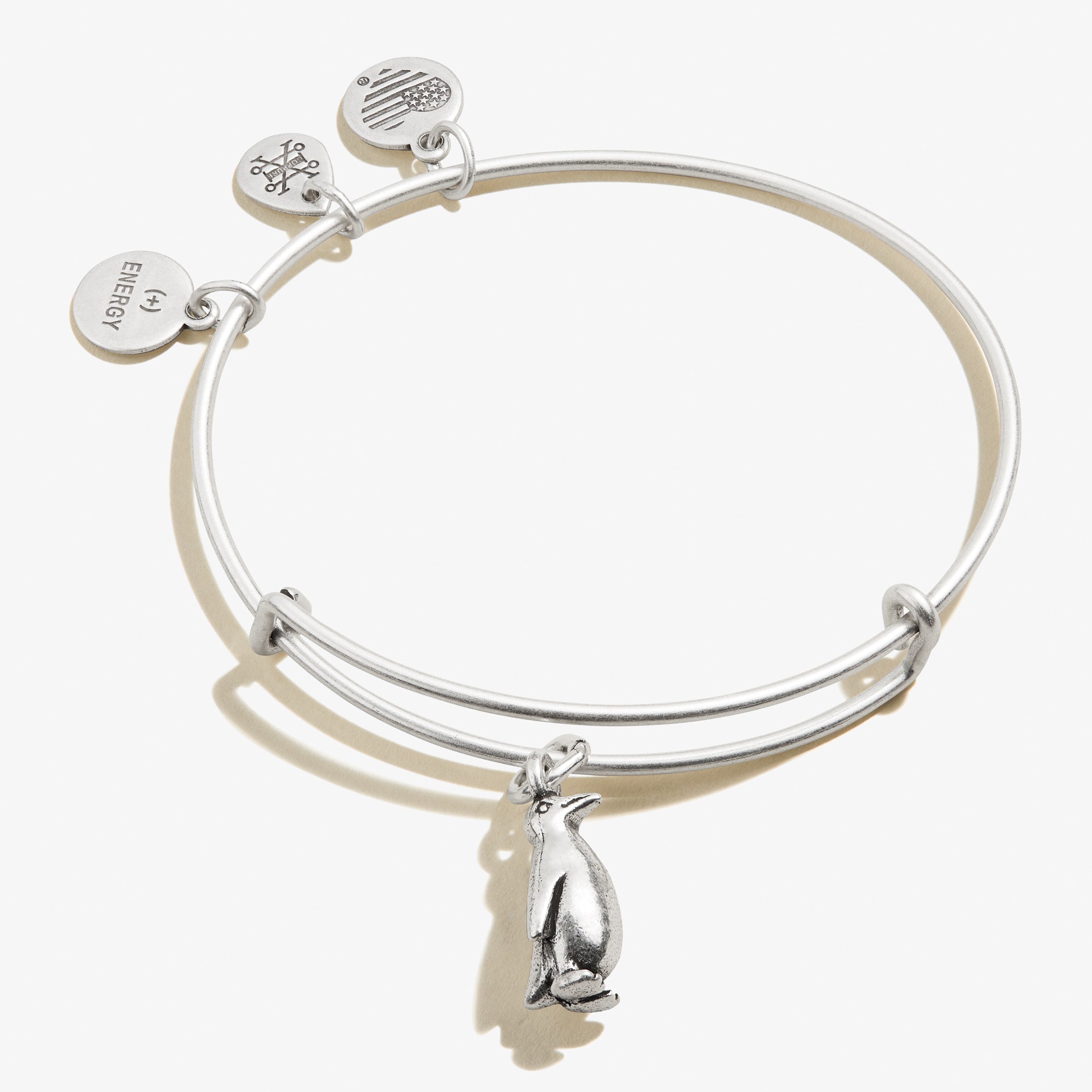 penguin-charm-bangle-bracelet-front-A21EBPENRS.jpg