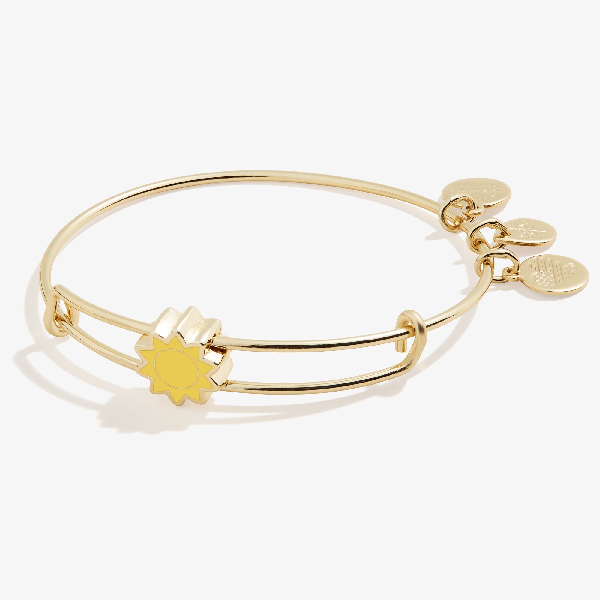 sun-motif-inline-charm-bangle-AA647722EWBSG.jpg