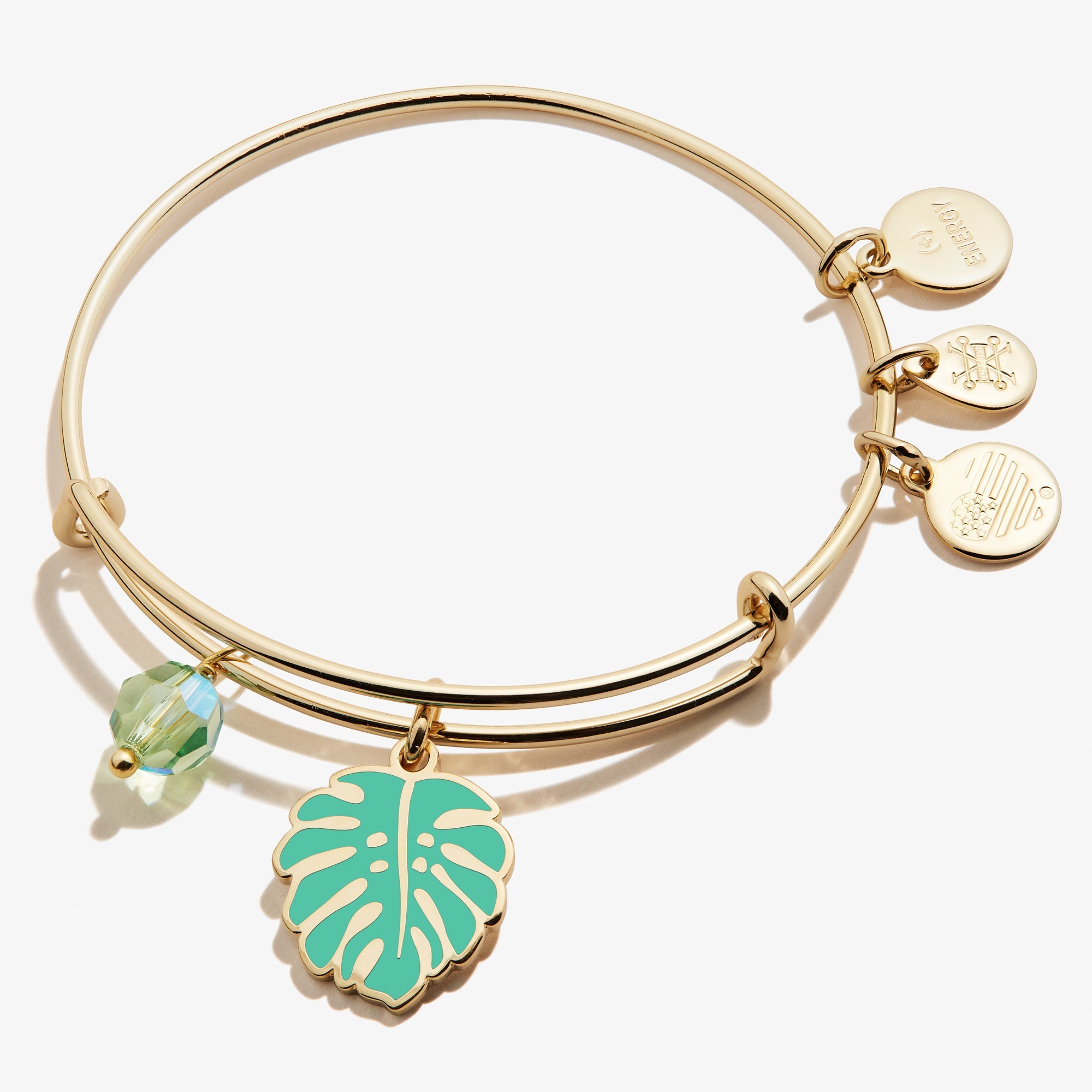 tropical-leaf-duo-charm-bangle-gold-front-A21EBLEAFSG.jpg