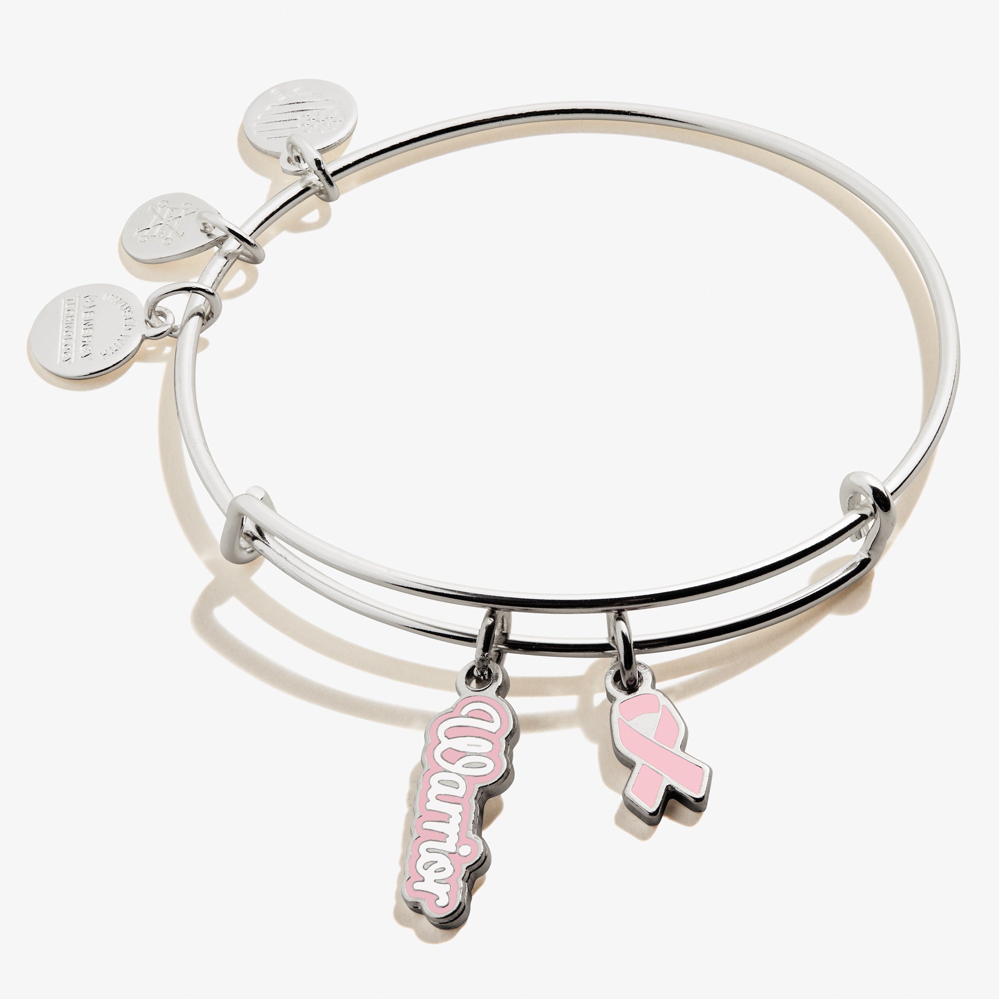 warrior-pink-ribbon-duo-charm-bangle-bracelet-front-A21EBWARSS.jpg
